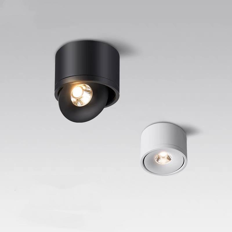 Dimmable Surface Mounted LED Ceiling Light-TI00373-Veeddydropshipping