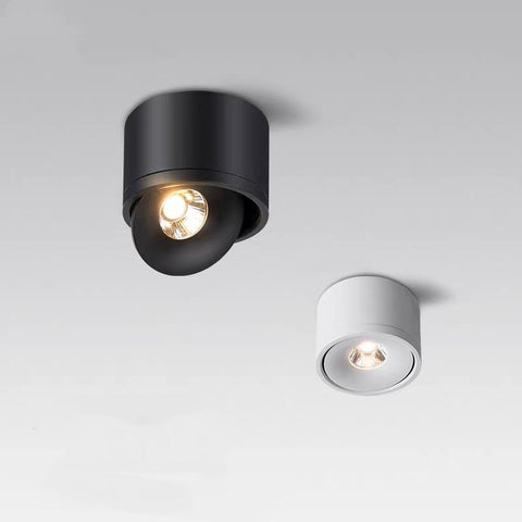 Dimmable Surface Mounted LED Ceiling Light-TI00373-Veeddydropshipping