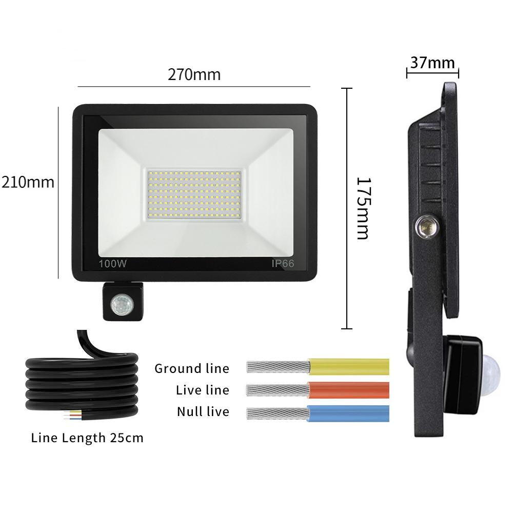 LED PIR Motion Sensor Floodlight for Outdoors Wall AC 220V 100W 50W 30W 20W-TI00885-Veeddydropshipping