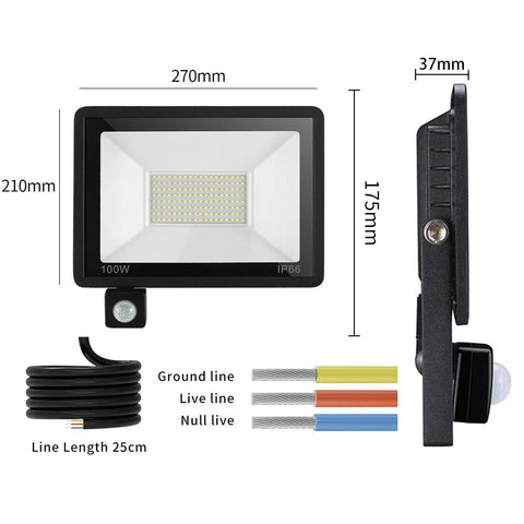 LED PIR Motion Sensor Floodlight for Outdoors Wall AC 220V 100W 50W 30W 20W-TI00885-Veeddydropshipping