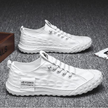 Pattern Ice Silk Cloth Casual Shoes Men&#39;s Sneakers Tenis-BS01348-Veeddydropshipping