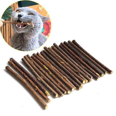 Cat Teeth Sticks Brushing Pure Natural Catnip-HA01367-Veeddydropshipping