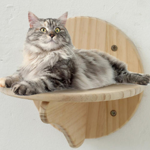 Wall-Mounted Cat Climbing Frame Pine Wood-HA01445-Veeddydropshipping