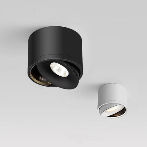 Dimmable Surface Mounted LED Ceiling Light-TI00373-Veeddydropshipping